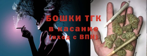 тгк Абаза