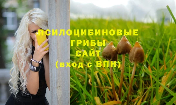 кокс Абдулино