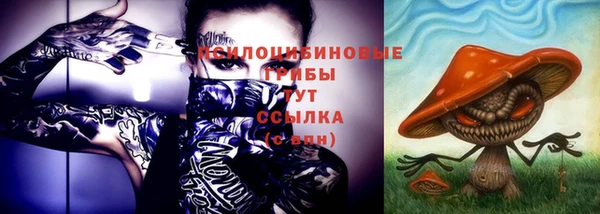 тгк Абаза