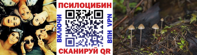 купить наркотик  Алзамай  mega ссылки  Галлюциногенные грибы прущие грибы 